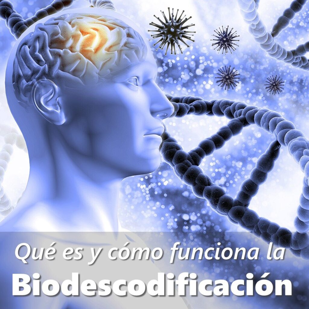 Que es y como funciona la Biodescodificacion